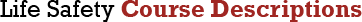 Life Safety Course Descriptions | Life Safety, First Aid, CPR Training